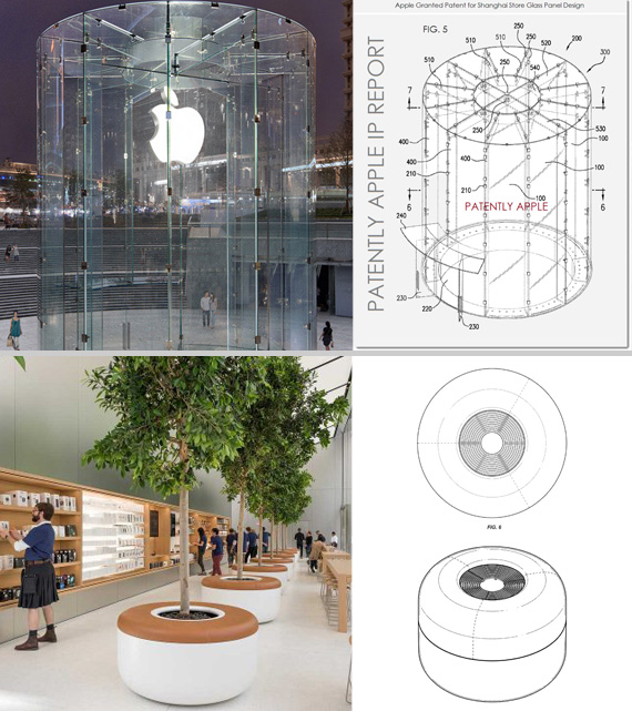 Apple Apple