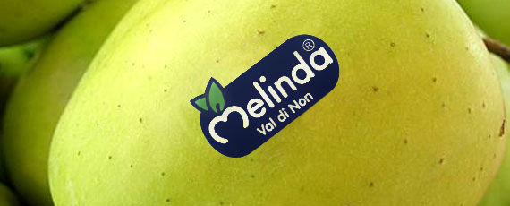 melida melida