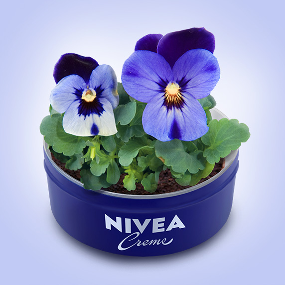 Nivea