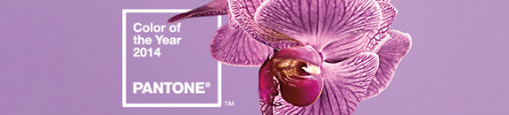 PANTONE 18-3224 Radiant Orchid PANTONE 18-3224 Radiant Orchid