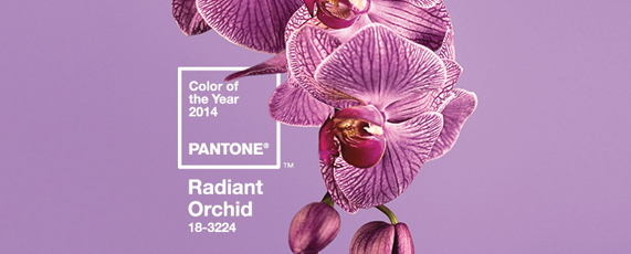 Pantone Radiant Orchid Pantone Radiant Orchid